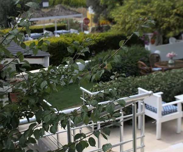 特佩酒店 * 阿拉恰特