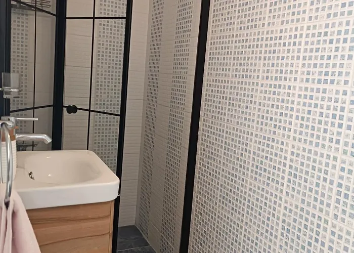 特佩酒店 阿拉恰特