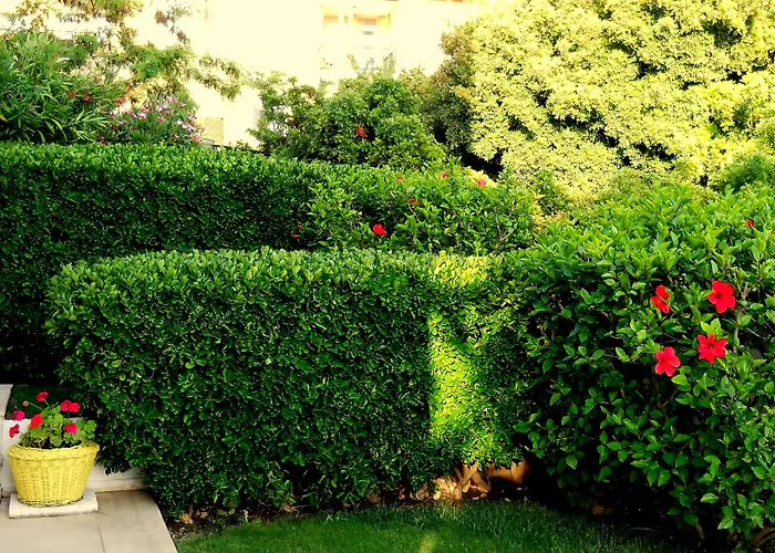 特佩酒店 * 阿拉恰特