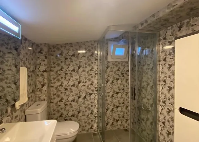 特佩酒店 阿拉恰特