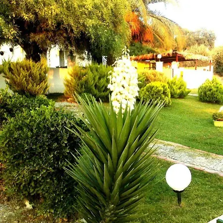 Tepe فندق
