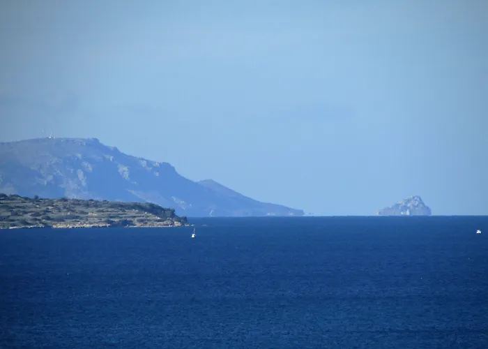 Tepe * אלאקאטי